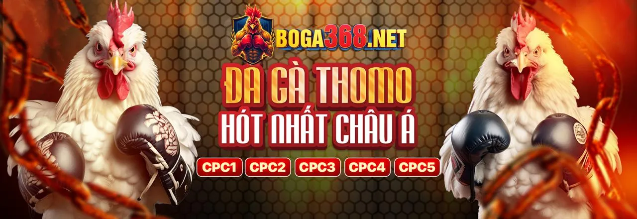 Các phương thức thanh toán an toàn và nhanh chóng tại SBOBET